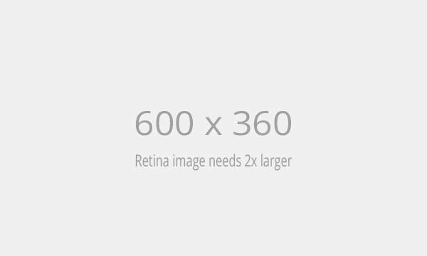 construction Servicios